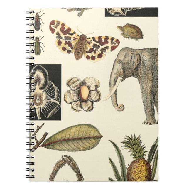 Assorted Animals Painted on Cream Background Notebook (Front)