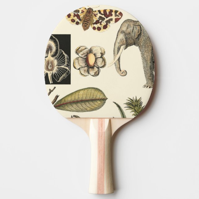 Assorted Animals Painted on Cream Background Ping-Pong Paddle (Front)
