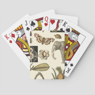 Assorted Animals Painted on Cream Background Poker Cards