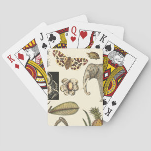 Assorted Animals Painted on Cream Background Poker Cards