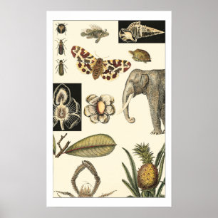 Assorted Animals Painted on Cream Background Poster