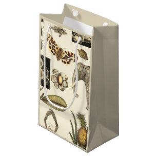 Assorted Animals Painted on Cream Background Small Gift Bag