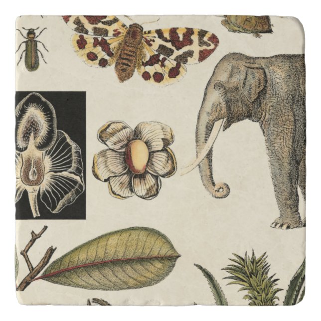 Assorted Animals Painted on Cream Background Trivet (Front)