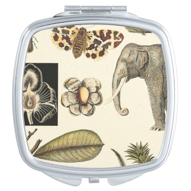 Assorted Animals Painted on Cream Background Vanity Mirror (Front)