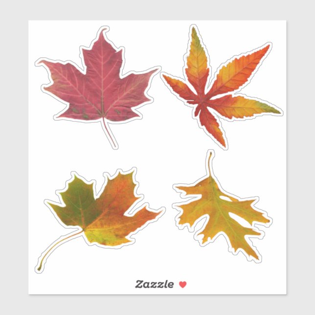 Assorted Autumn Leaves Sticker (Sheet)
