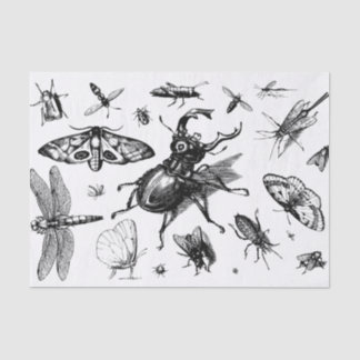Assorted Bugs Black and Gray Tissue Paper