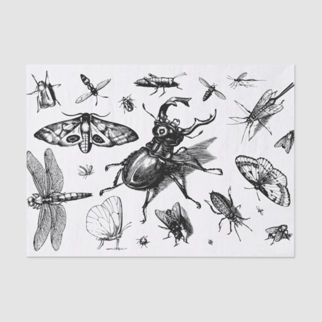 Assorted Bugs Black and Gray Tissue Paper (Front)