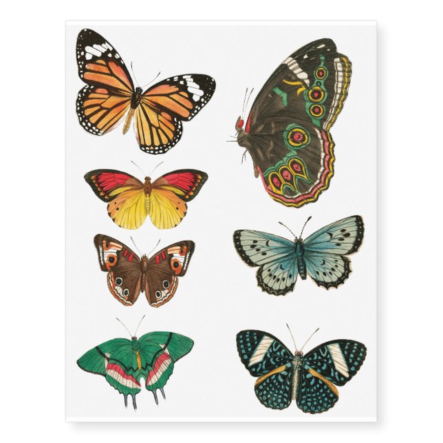 Assorted Butterflies Temporary Tattoos (Front)