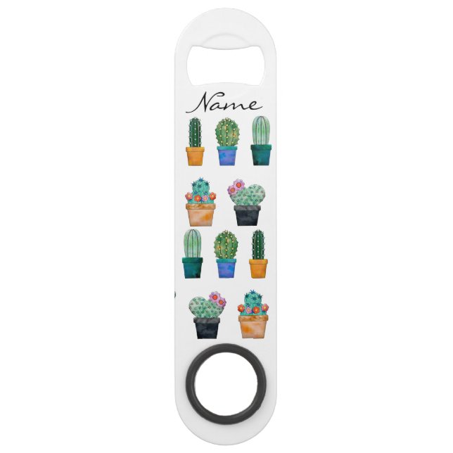 Assorted Cactus Plants Thunder_Cove Bar Key (Front)