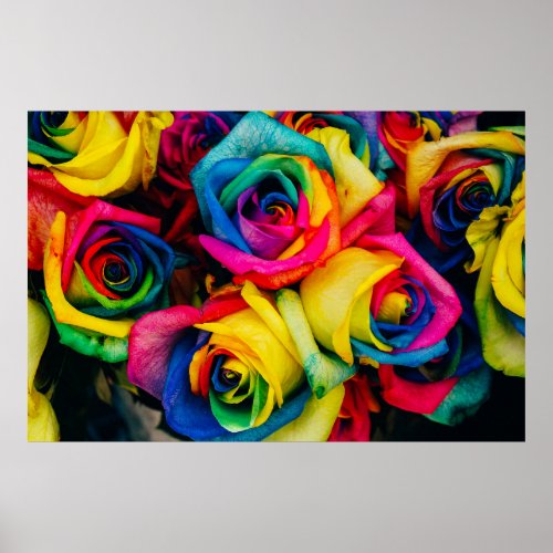 Assorted_color petaled flowers poster