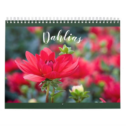 Assorted Colorful Dahlia 2021 Flower Photo Calendar