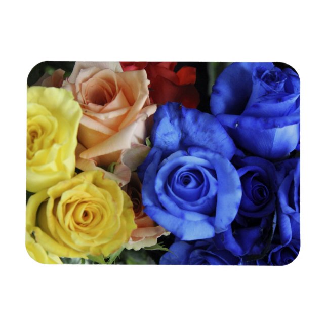 Assorted fresh rose bouquets magnet (Horizontal)