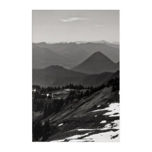 Assorted Landscape Acrylic Print