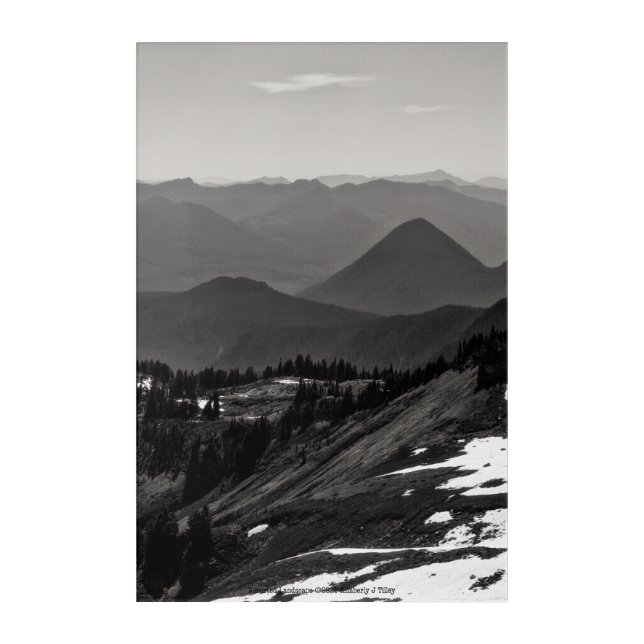 Assorted Landscape Acrylic Print (Front)