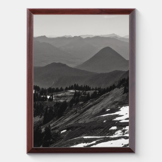 Assorted Landscape Award Plaque (Vertical)