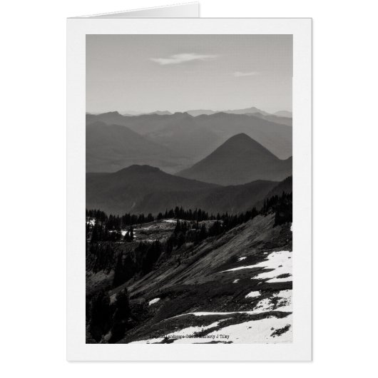 Assorted Landscape Cards (Front)