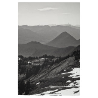 Assorted Landscape Metal Print