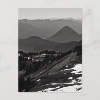 Assorted Landscape Postcard