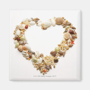 Assorted seashells form heart shape magnet