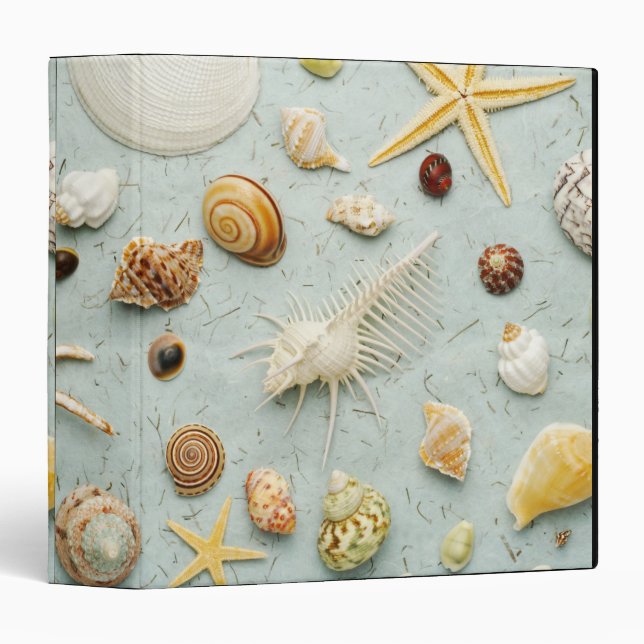 Assorted seashells on blue background binder (Front/Spine)