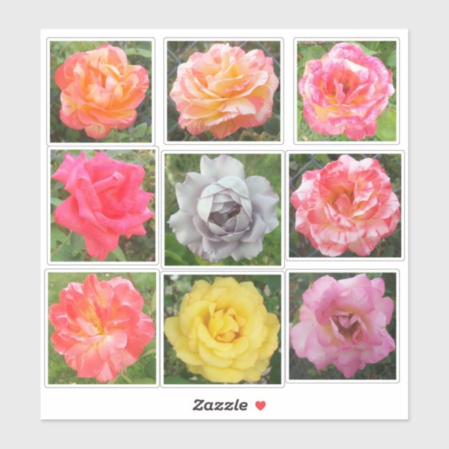Assorted Solid & Variegated Rose Photos Sticker (Sheet)