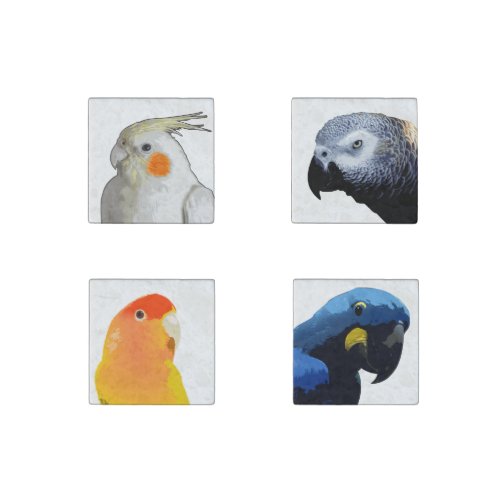 Assorted Tropical Birds Exotic Pet Parrot Pop Art Stone Magnet
