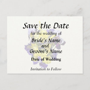 Assortment of Irises Yellow and Purple Announcement Postcard