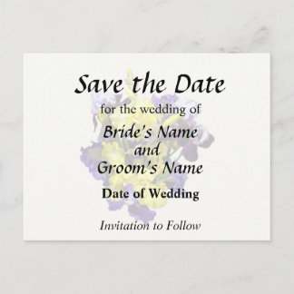 Assortment of Irises Yellow and Purple Announcement Postcard