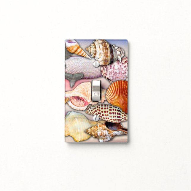 Assortment of Sea Shells | Light Switch Cover (In Situ)