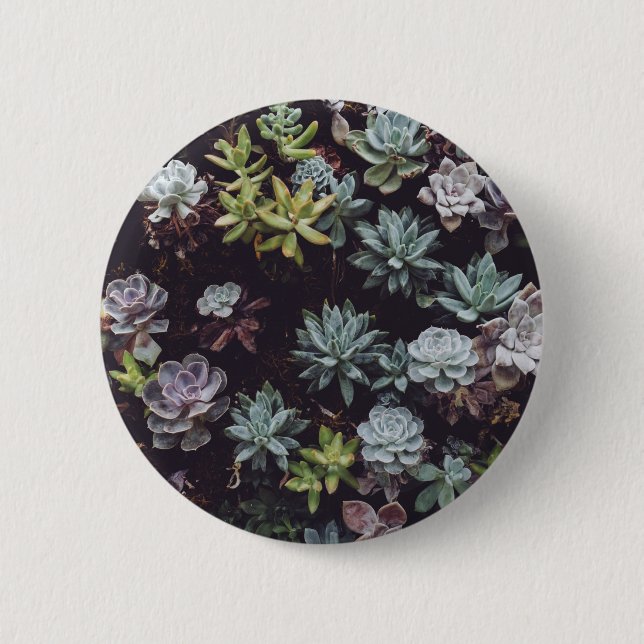 Assortment of Small Succulent Plants Button (Front)