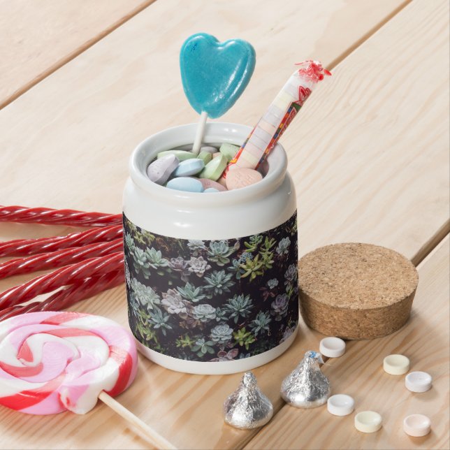 Assortment of Small Succulent Plants Candy Jar (In Situ)