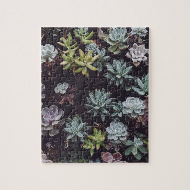 Assortment of Small Succulent Plants Jigsaw Puzzle (Vertical)