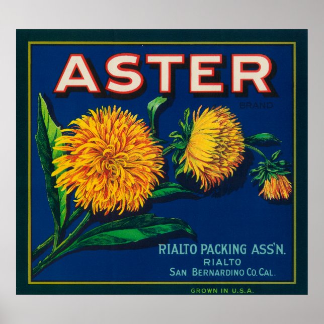 Aster Brand Citrus Crate Label Poster (Front)
