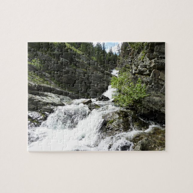 Aster Creek at Glacier National Park Jigsaw Puzzle (Horizontal)