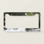 Aster Creek at Glacier National Park License Plate Frame