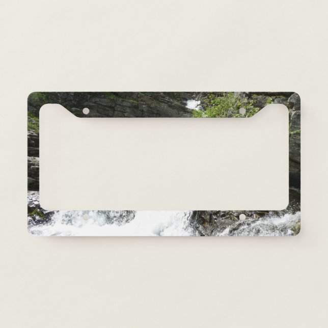 Aster Creek at Glacier National Park License Plate Frame (Front)