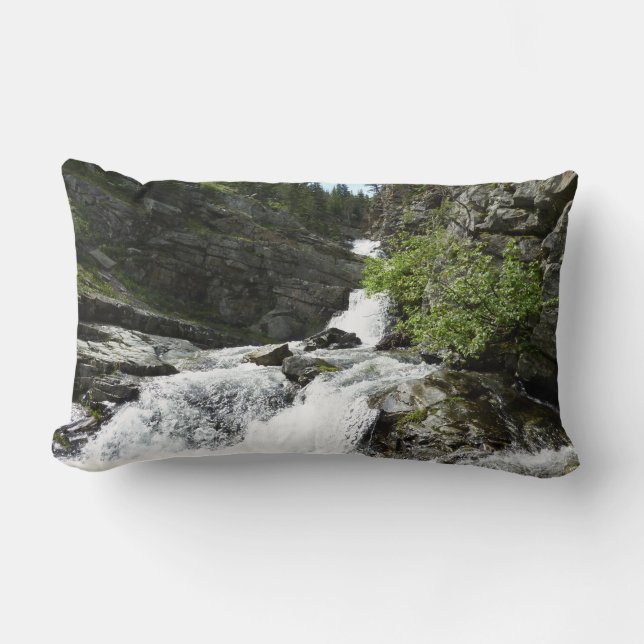 Aster Creek at Glacier National Park Lumbar Pillow (Front)