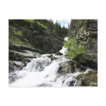 Aster Creek at Glacier National Park Postcard