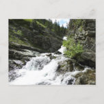 Aster Creek at Glacier National Park Postcard
