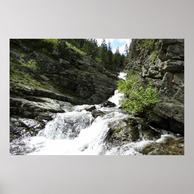 Aster Creek at Glacier National Park Poster (Front)