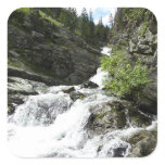 Aster Creek at Glacier National Park Square Sticker