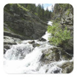 Aster Creek at Glacier National Park Square Sticker