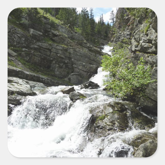 Aster Creek at Glacier National Park Square Sticker (Front)
