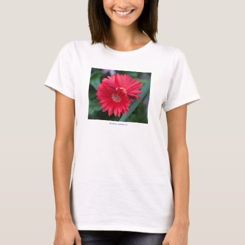 aster flower in the garden T_Shirt