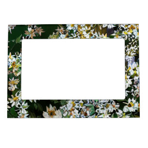 ASTER FLOWERS MAGNETIC FRAME