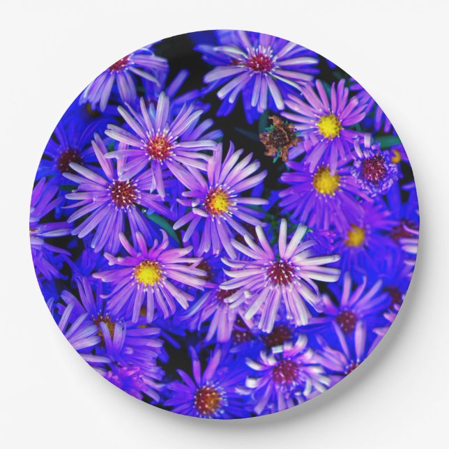 Aster Garden in Full Bloom Paper Plates (Front)