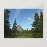 Aster Park Trail at Glacier National Park Postcard