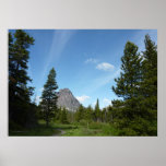 Aster Park Trail at Glacier National Park Poster