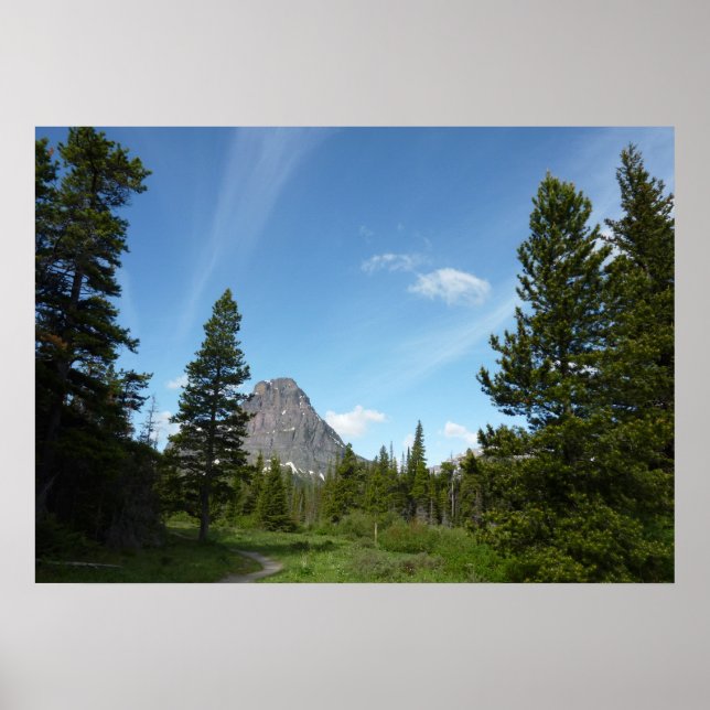 Aster Park Trail at Glacier National Park Poster (Front)