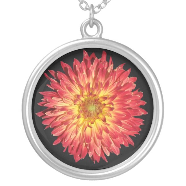 aster silver plated necklace (Front)